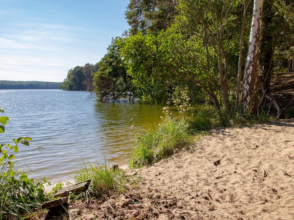 Blick auf den Uferbereich am Schmöldesee mit viel Grün.