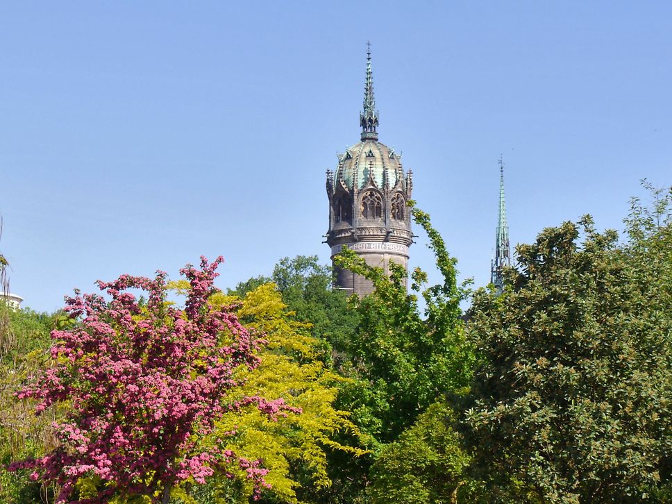 Blick auf bunte Baumkronen, im Hintergrund der Turm der Schlosskirche im Luthergarten in Lutherstadt Wittenberg.