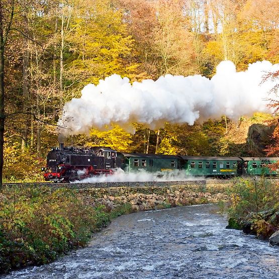 Ein Zug mit Dampflok fährt durch herbstliche Landschaft.