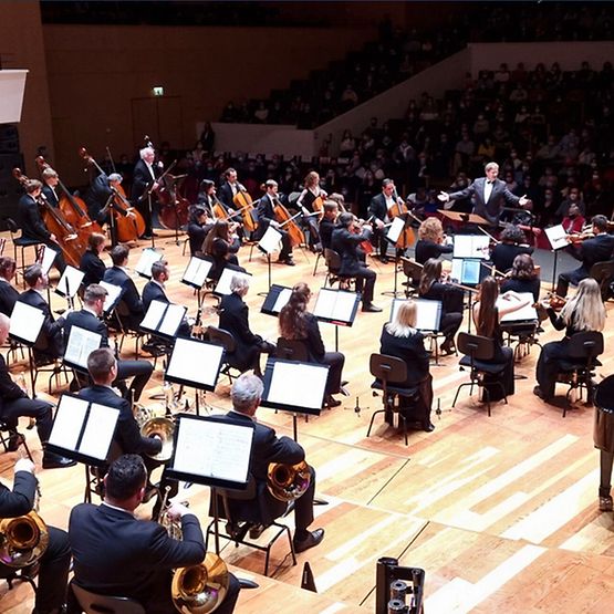 Das Europe Symphony Orchestra während eines Auftritts.