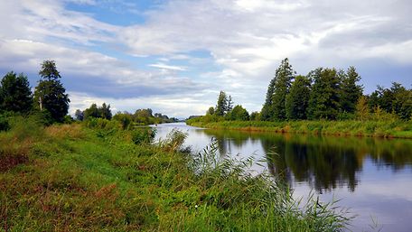Landschaftsaufnahme mit einem Fluss, der durchs Grüne fließt.