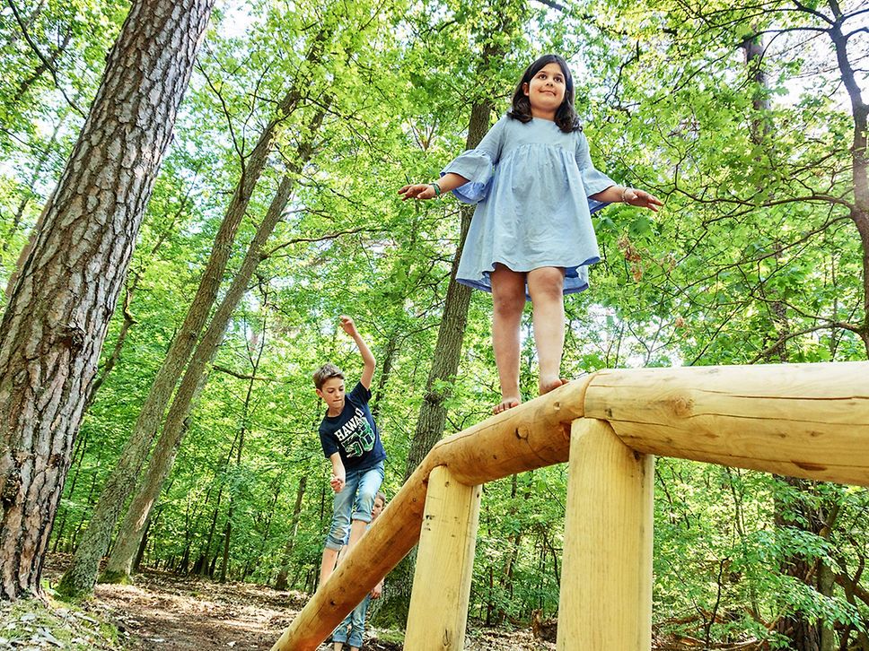 Ein Mädchen und dahinter ein Junge balancieren auf einem Holzgeländer im Wald.