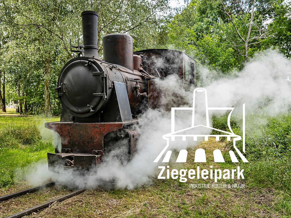 Eine große schwarze Dampflok fährt durch einen Wald. Rechts dampft weißer Qualm.