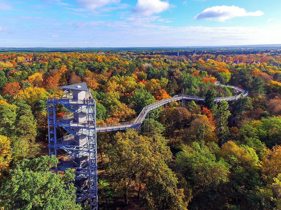 Blick von oben auf den Turm und Baumkronenpfad in Beelitz.