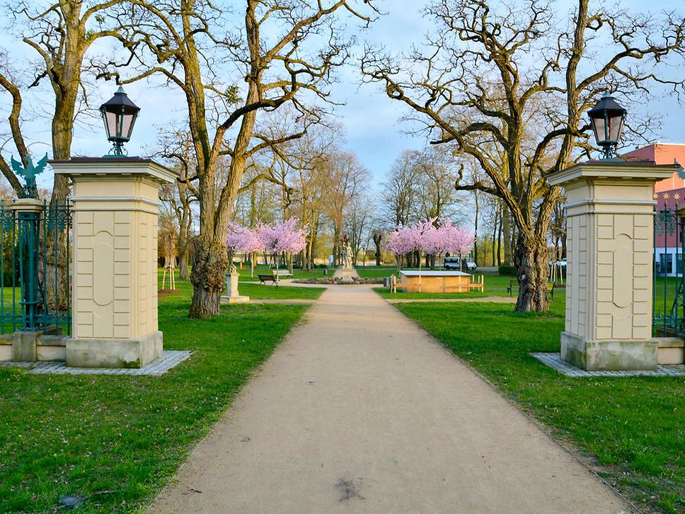 Blick auf einen Parkeingang, im Hintergrund kahle Bäume und welche, die rosa blühen. Der Weg ist gesäumt von grüner Wiese.