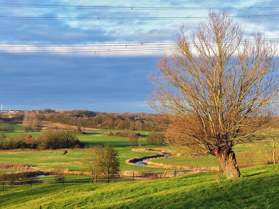 Blick auf eine grüne Landschaft mit blauem Himmel, rechts im Vordergrunde ein Baum ohne Blätter.