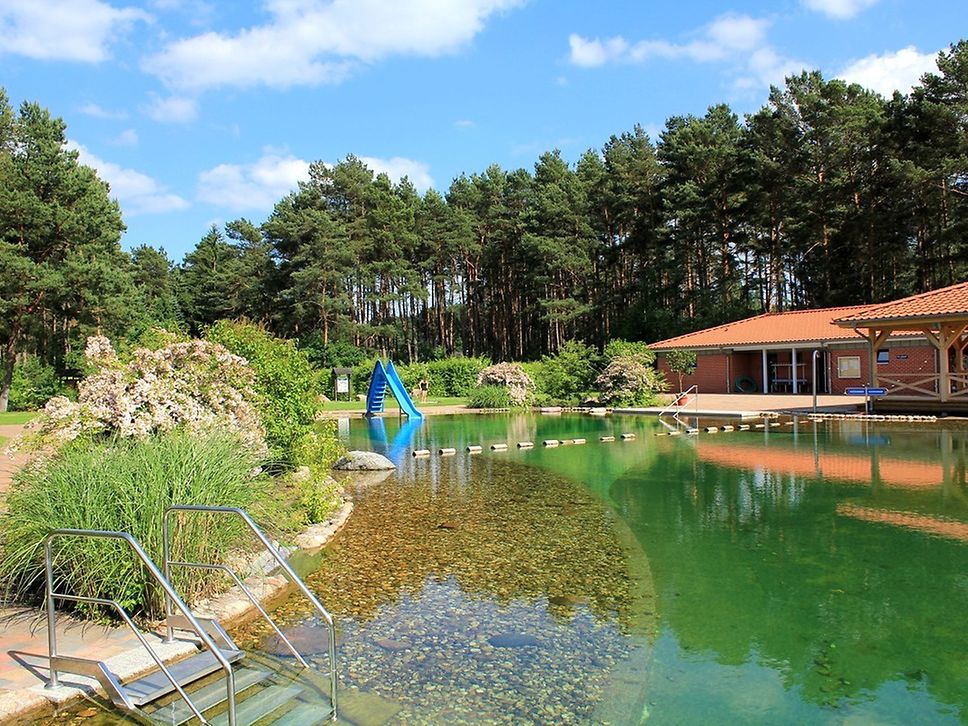Blick auf ein Freibad im Wald, im Hintergrund eine blaue Rutsche, ringsrum viel Grün.