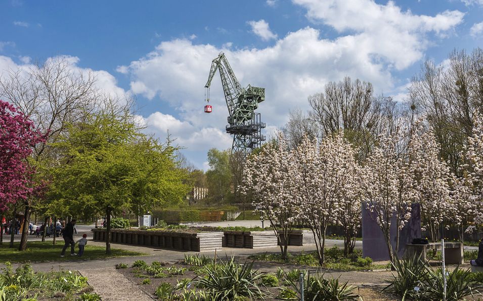 Blick auf den Familiengarten Eberswalde, im Hintergrund der Eberkran.
