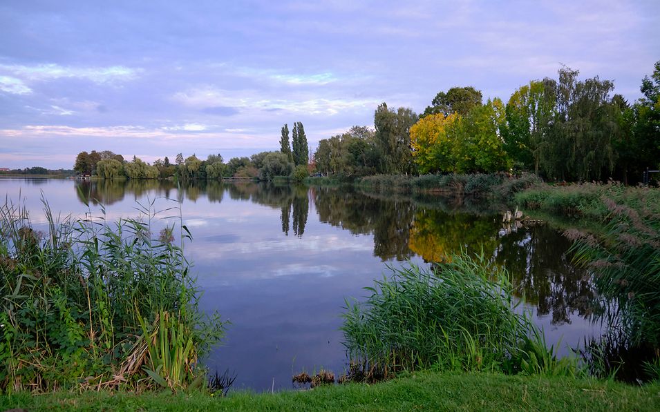 Blick vom naturbelassenden Ufer über den Mündesee