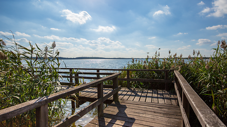 Steg am Blankensee Nuthe-Nieplitz mit Blick auf den See. Der Himmel ist blau mit kleinen Wolken.