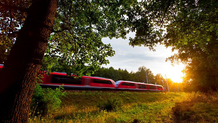 Regiozug zwischen Bäumen bei untergehender Sonne