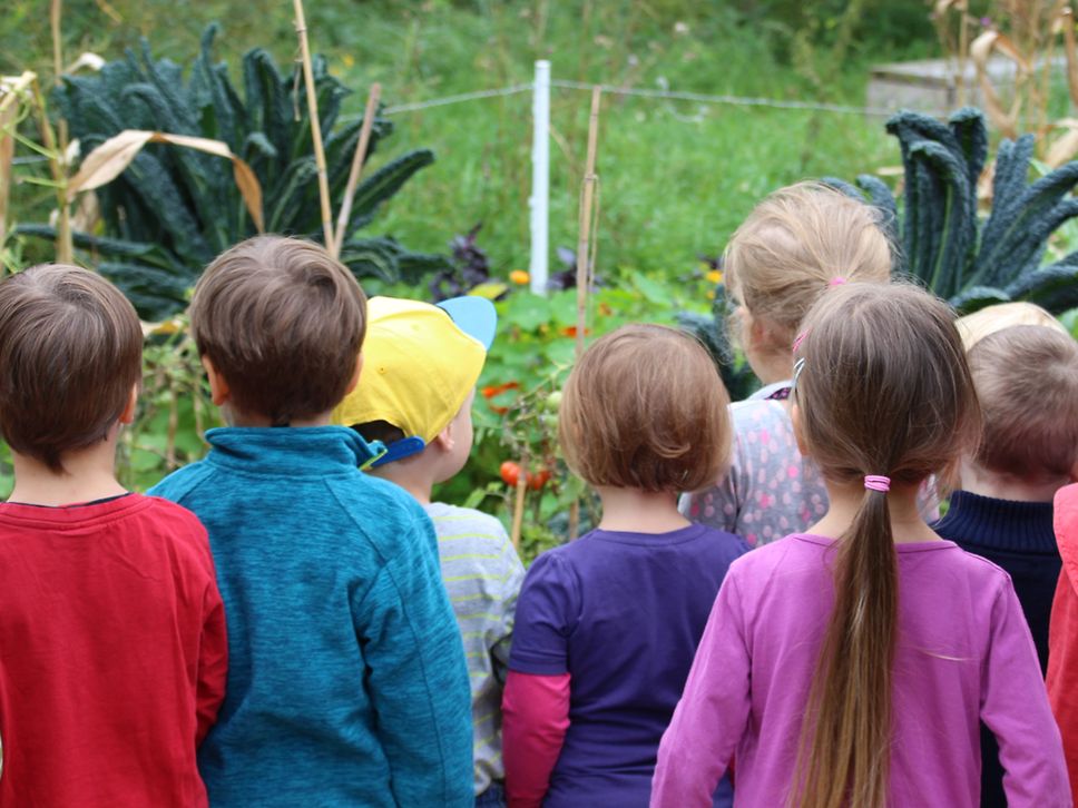 Quelle: Grüne Liga Berlin e. V. Eine Gruppe Kinder ist von hinten zu sehen wie sie auf verschiedene Pflanzen schaut.