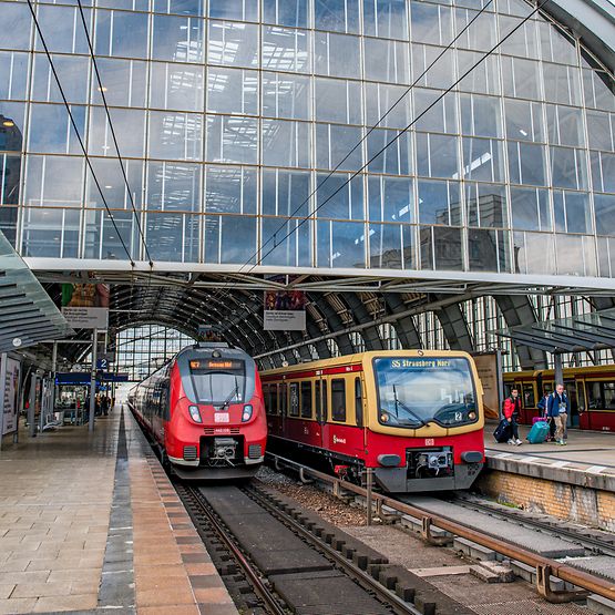 Regionalzug und S-Bahn stehen nebeneinander am Bahnsteig