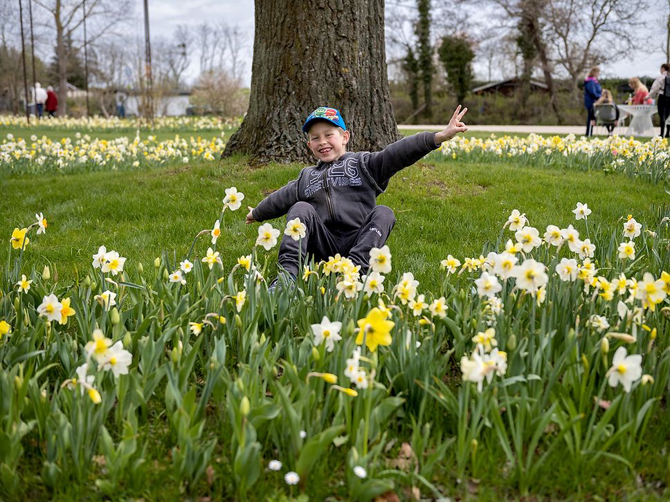 Kleiner Junge sitzt auf einer Wiese umgeben von Narzissen und lacht in die Kamera.