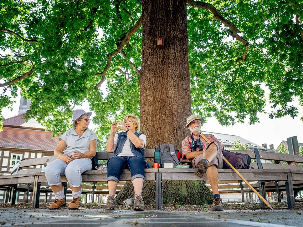 Drei Wanderer sitzen auf Bänken um einen Baum und machen Rast.