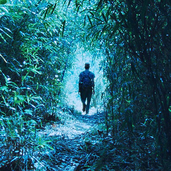 Szene aus dem Film "The Dust Of Modern Life": Eine Person ist von hinten zu sehen, sie geht durch eine Art Dschungel.