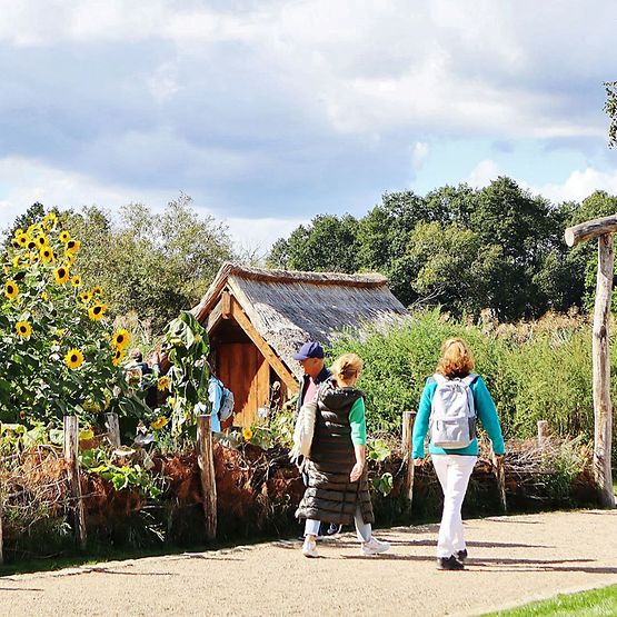 Besucher:innen der LAGA Beelitz laufen auf einem Weg entlang vorbei an Sonnenblumen.