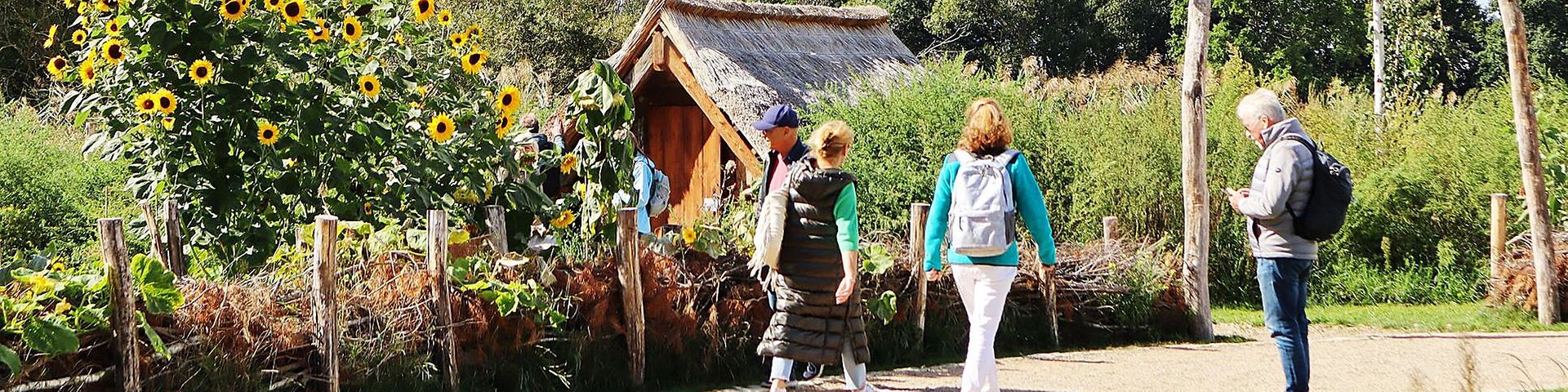 Besucher:innen der LAGA Beelitz laufen auf einem Weg entlang vorbei an Sonnenblumen.