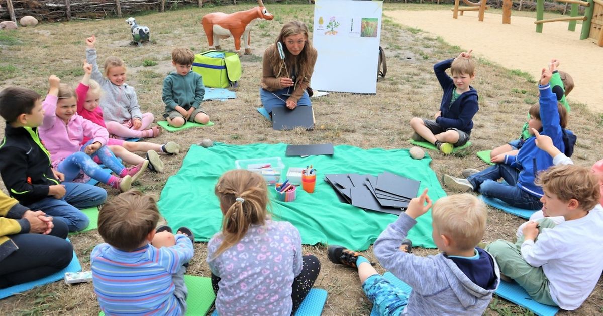 Ferienprogramm und Kürbis-Schnitzen