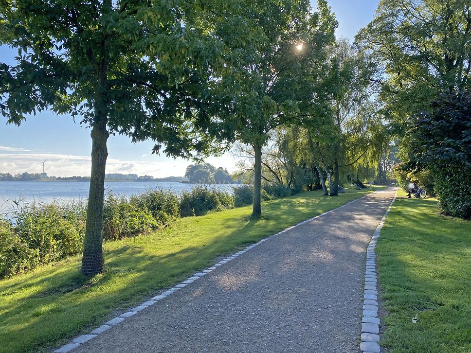 Blick auf die grüne Promenade am Mündesee in Angermünde.
